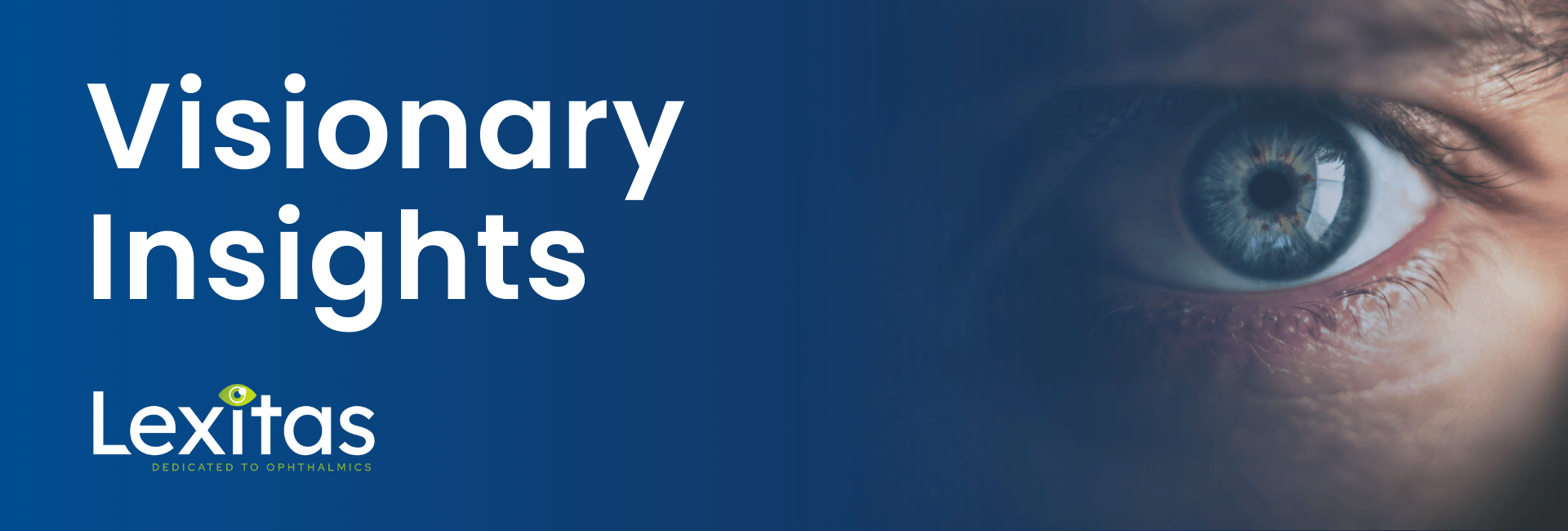 Visionary Insights Landing Page Header